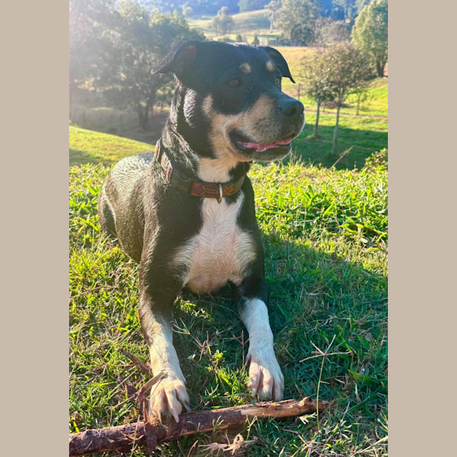 Photo of Tess
