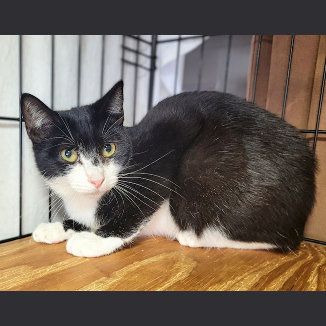 Photo of Harley ❤️