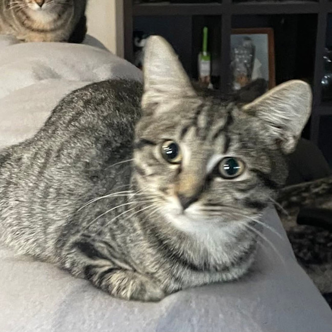 Photo of Molly