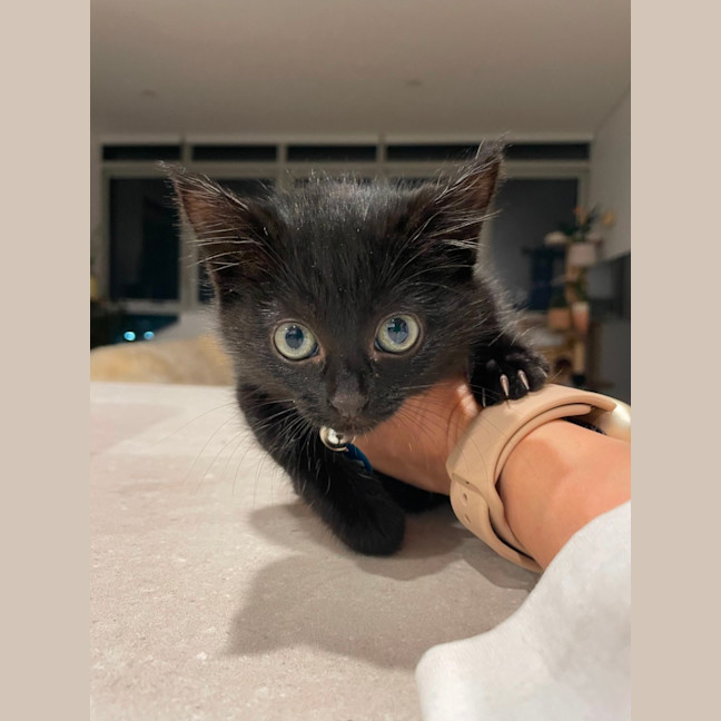 Photo of Clyde