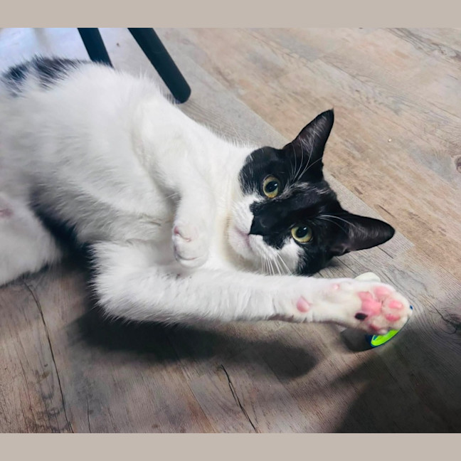 Photo of Murphy