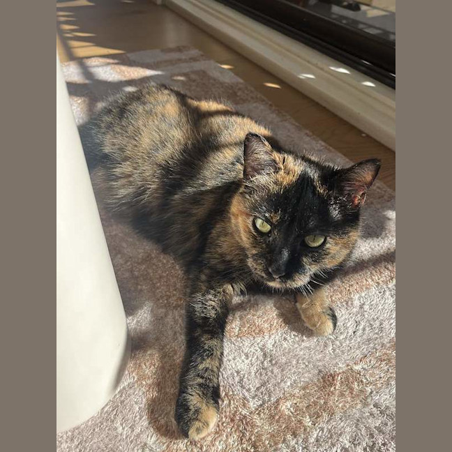 Photo of Wiggles