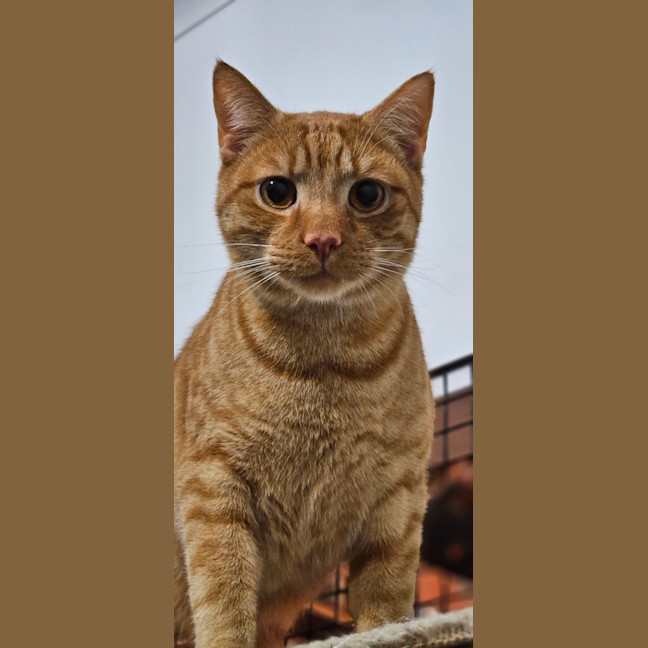 Photo of Denver