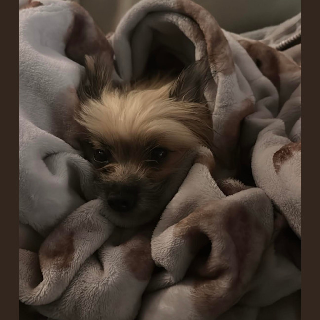 Photo of Jinx Everhart