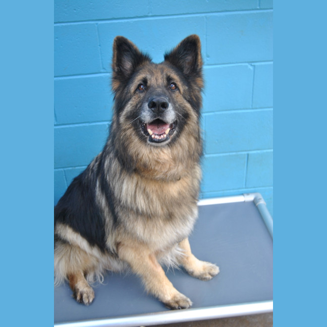 Photo of Axel