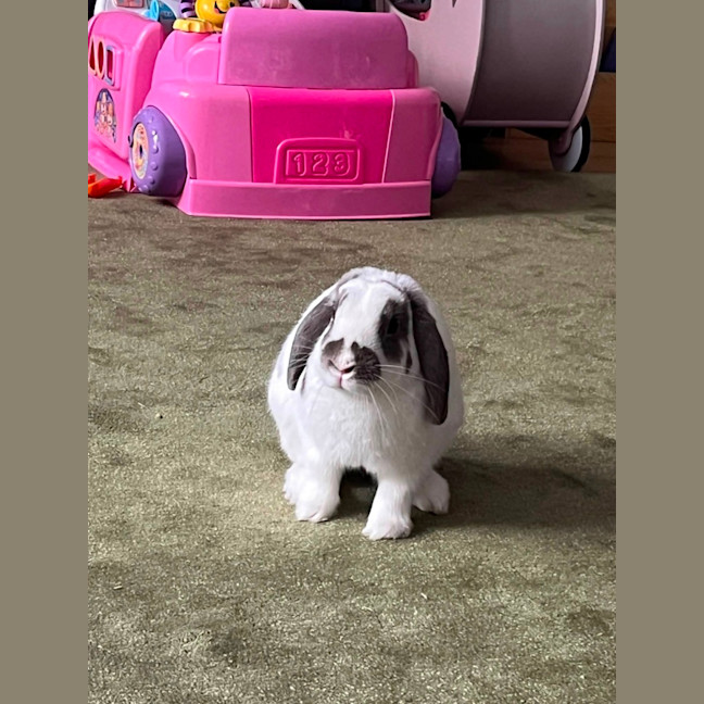 Photo of Asher