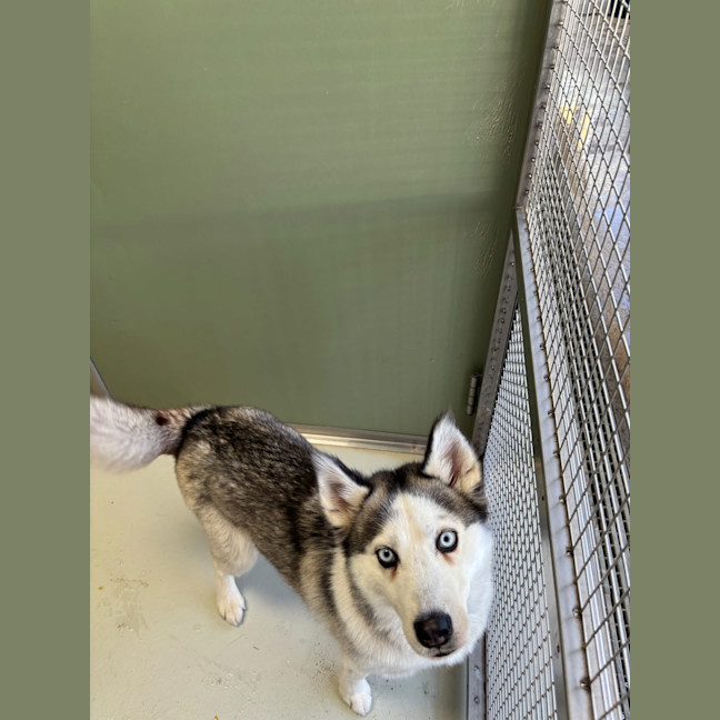 Photo of Tinkerbell
