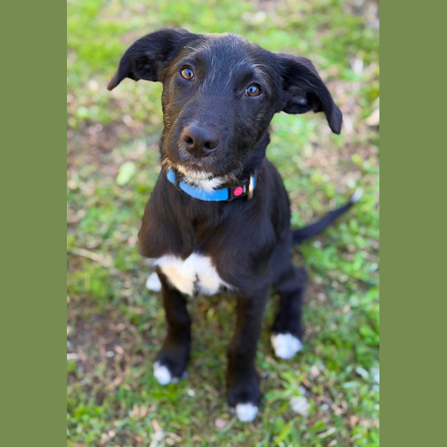 Photo of Wilbur