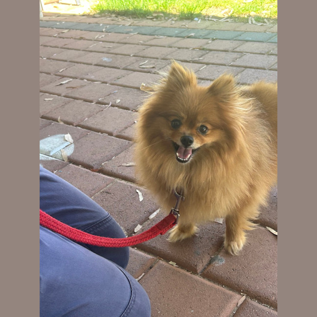 Photo of Pinky