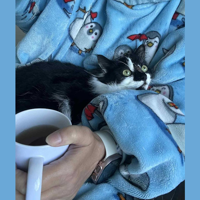 Photo of ❤️ Ruby ❤️