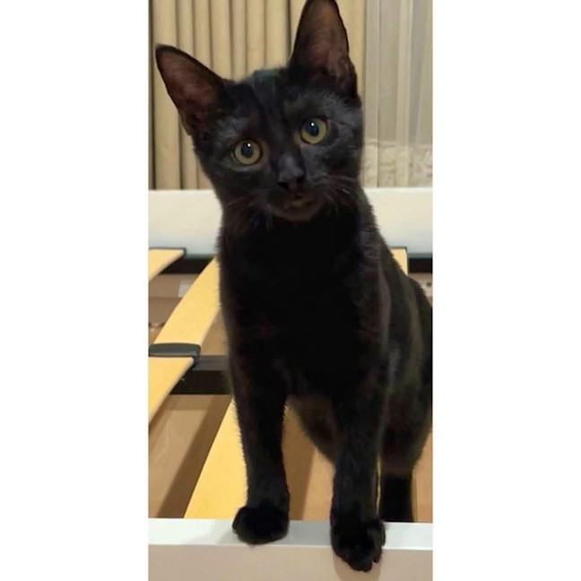 Photo of 12293   Spooky