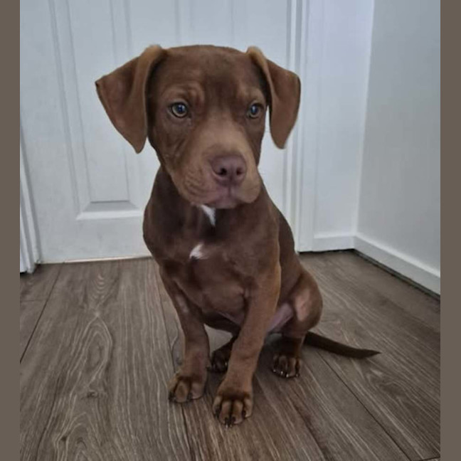 Photo of Murphy