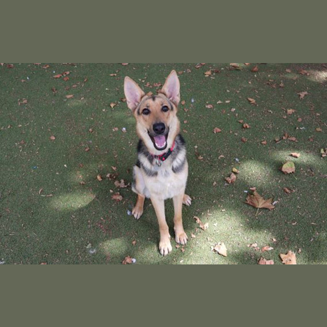 Photo of Roxie