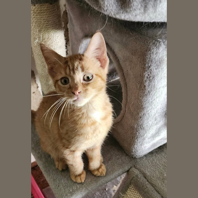 Photo of Peter 