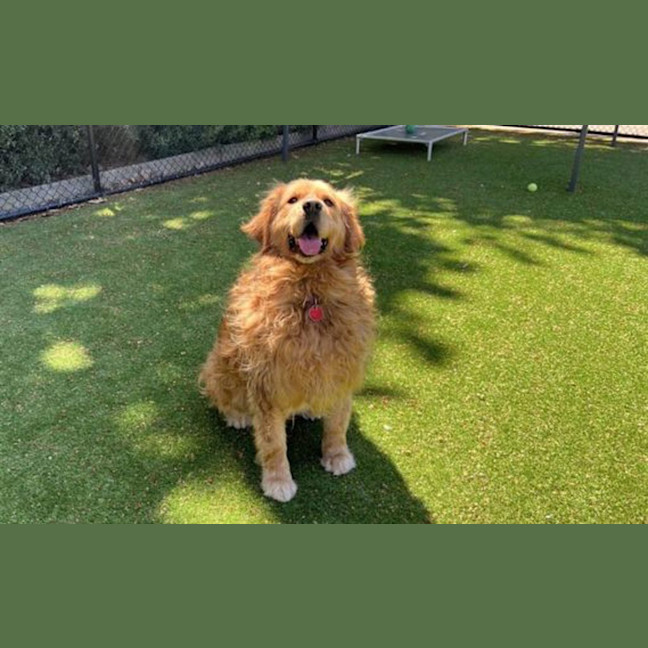 Photo of Venus 