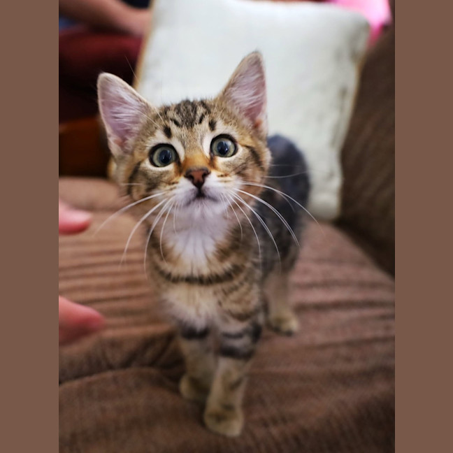 Photo of Cindy Lou