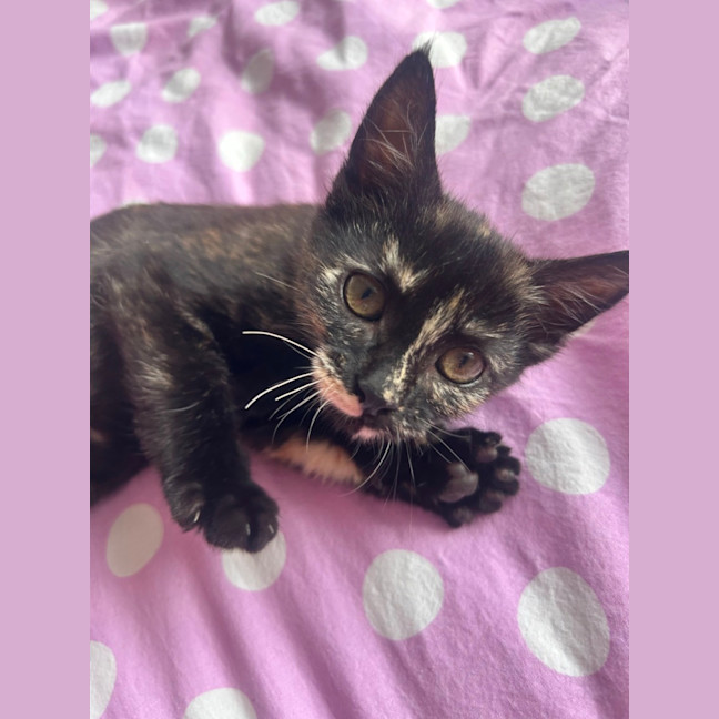 Photo of Ramona