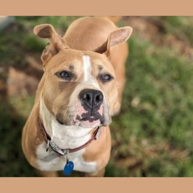 Photo of Kimber