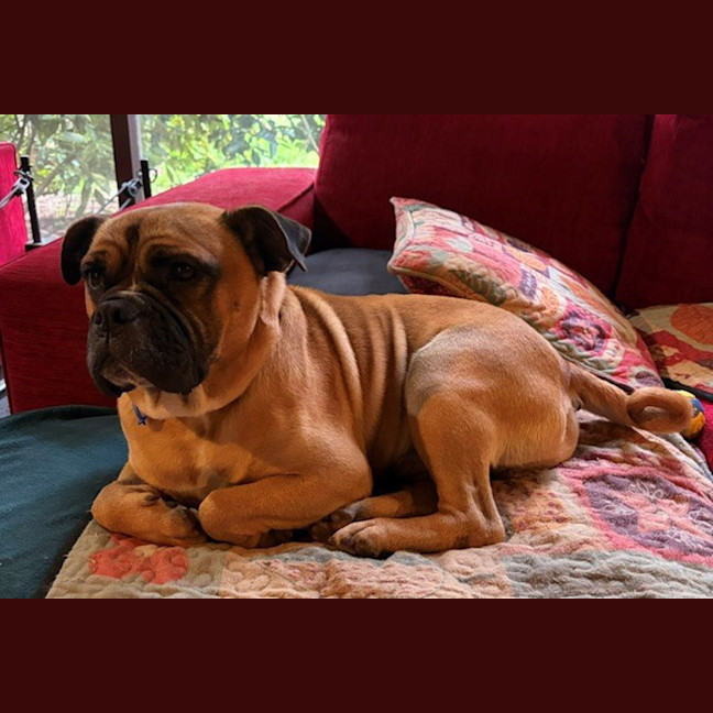 Photo of Leroy