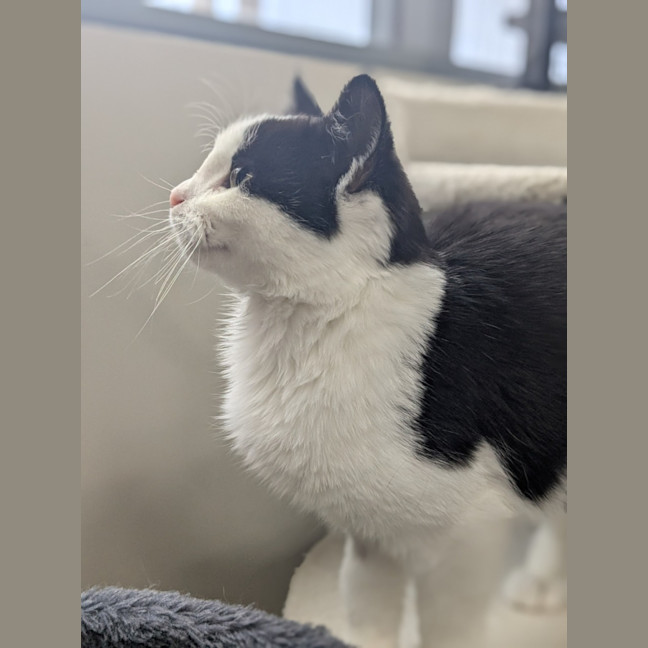 Photo of 🥇 Hulu 6043 🥇