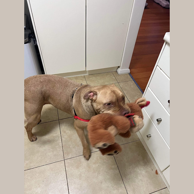 Photo of Sampson