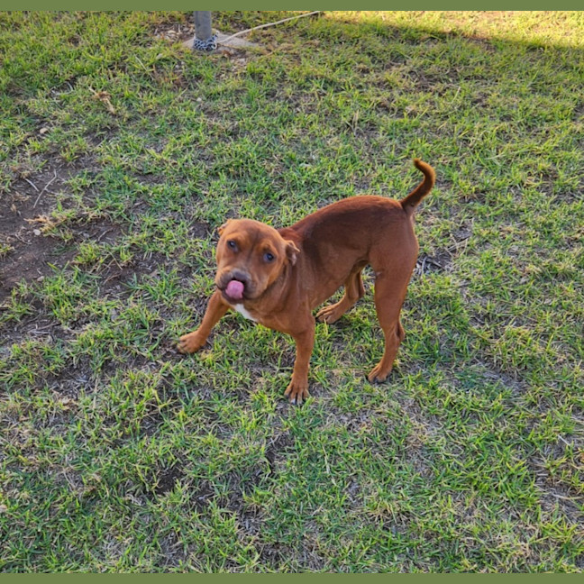 Photo of Lulu