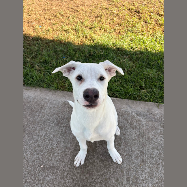 Photo of Esky