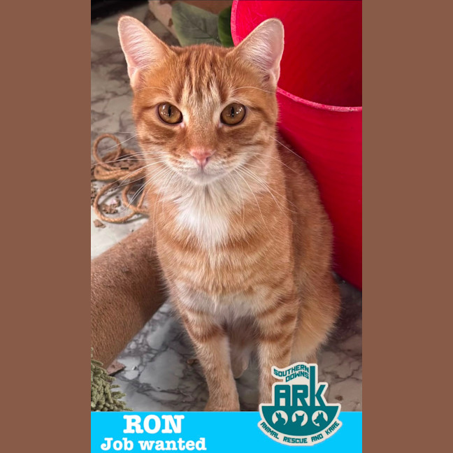 Photo of Ron & Barty