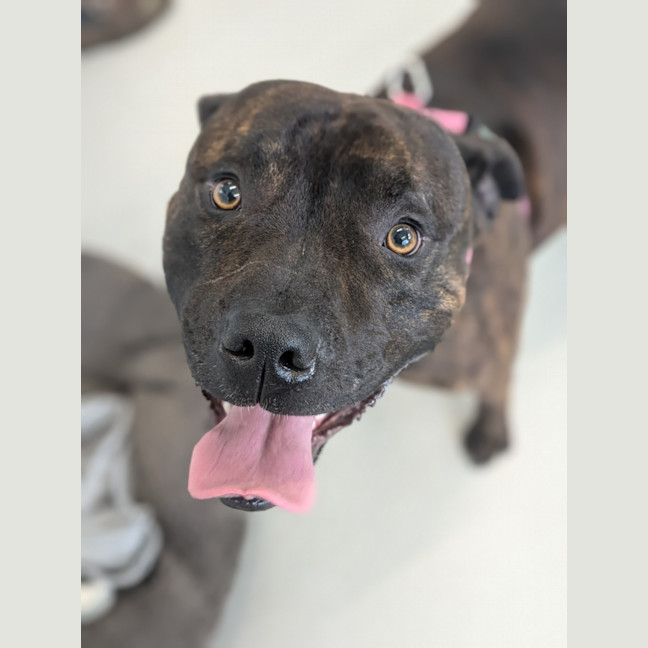 Photo of 🍃 Miguel 5402 🍃