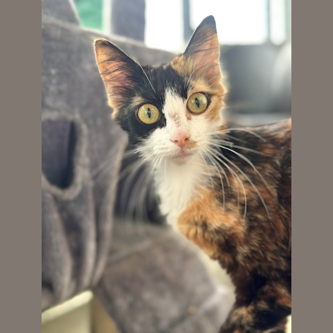 Photo of Penelope