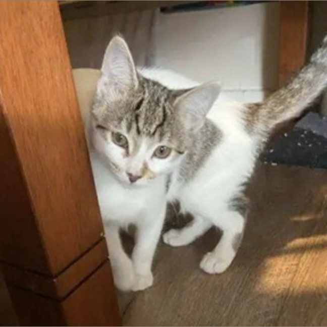 Photo of Edwina