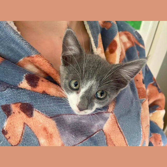Photo of E.T.
