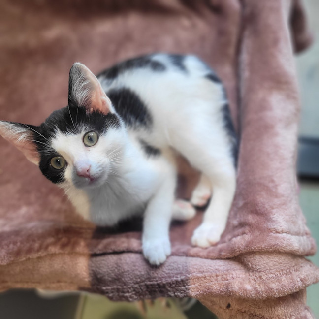 Photo of Esmeralda Joy