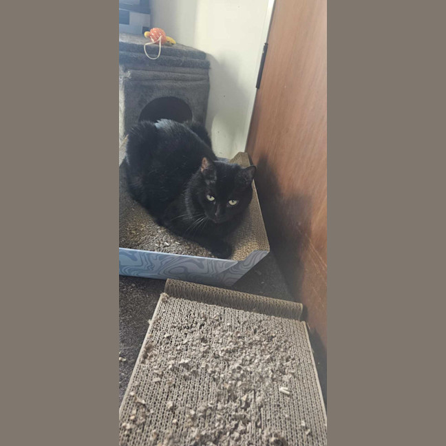 Photo of Mia