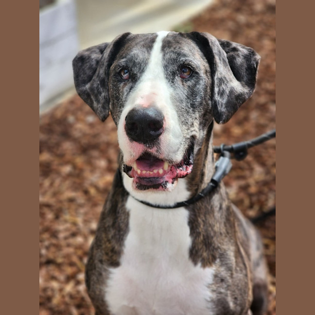 Photo of 🎭 Wednesday 6534 🎭