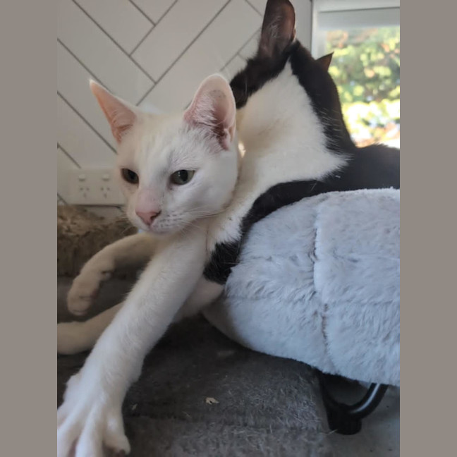 Photo of Ferdi 💙💙