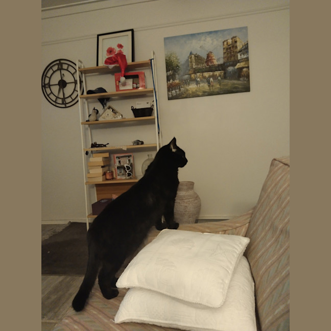 Photo of Bubby