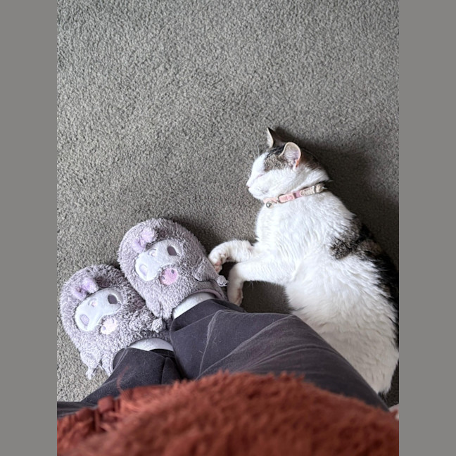 Photo of Tinkerbell 
