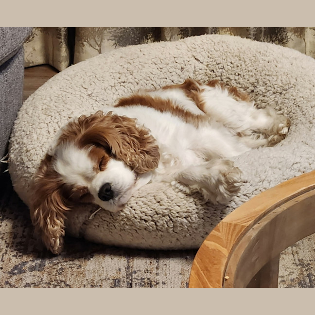 Photo of Kia