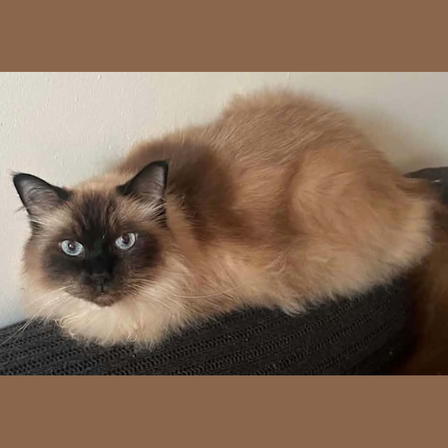 Photo of Oliver