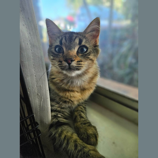 Photo of Kiara