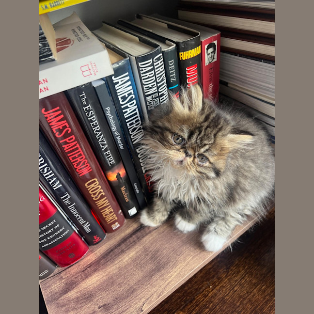 Photo of Beef Wellington