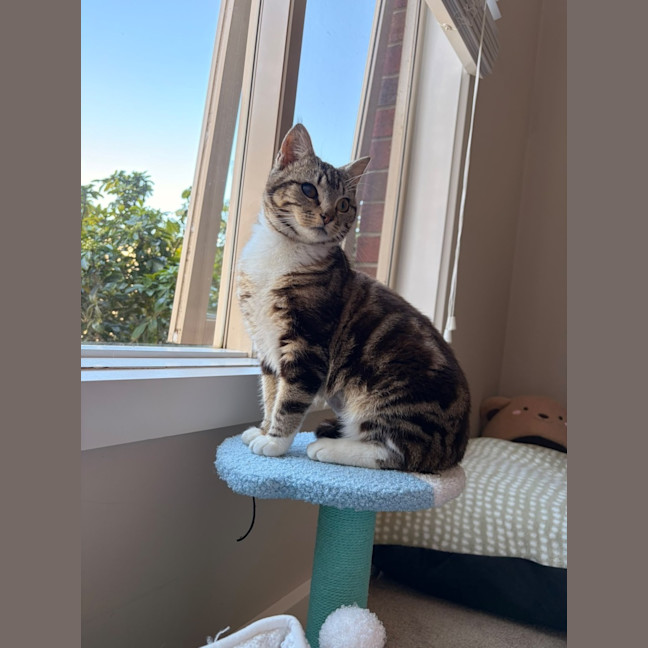 Photo of Gabby