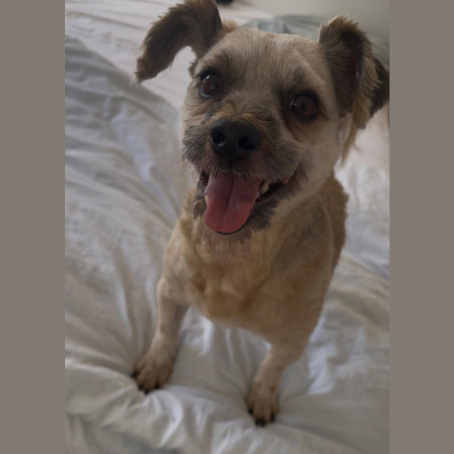Photo of Rogue