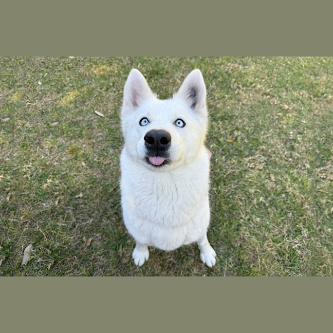 Photo of Heidi