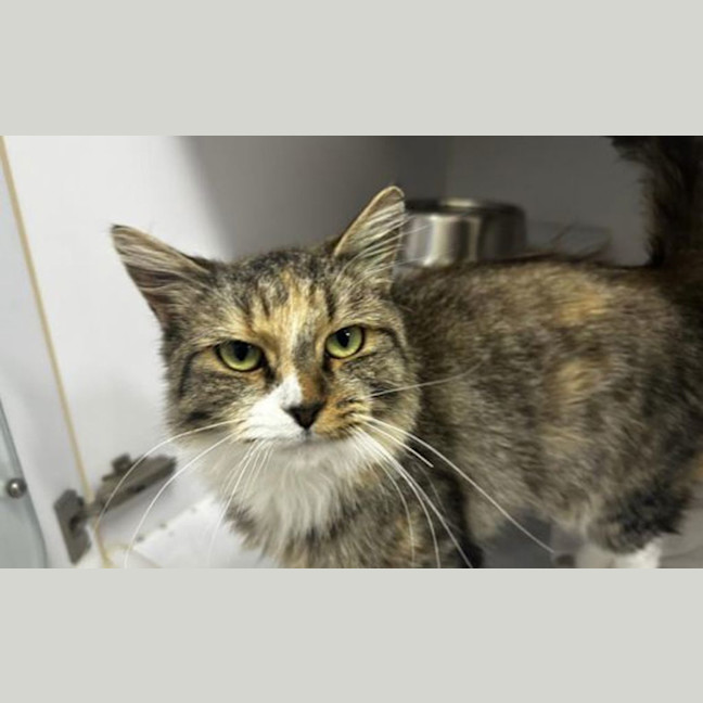 Photo of Matilda 