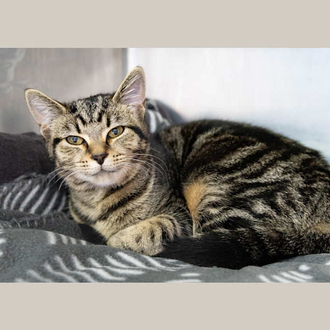 Photo of Princess Rosevale