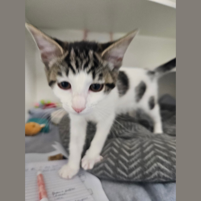 Photo of Windy