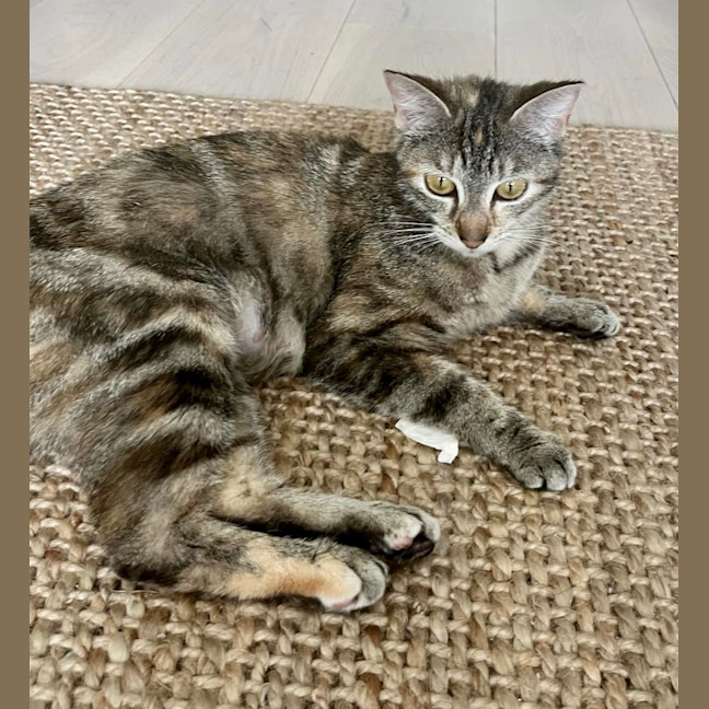 Photo of Mia 