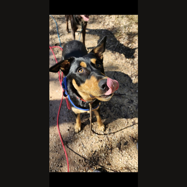 Photo of Narla